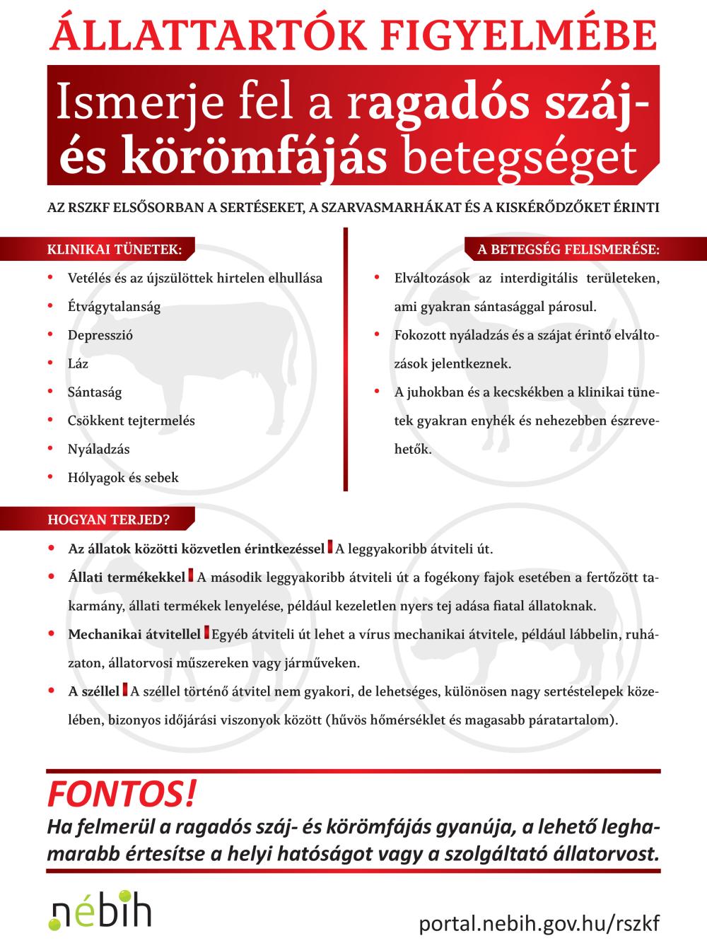 Allattartok Figyelmebe 1 2025 04 10